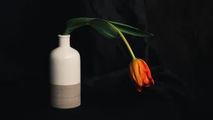 Il Burnout e le Professioni Sanitarie