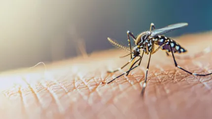 Virus trasmessi dalle zanzare: una sfida crescente per la salute pubblica